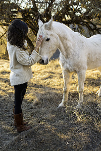 在野外抚摸白马的年轻女子图片