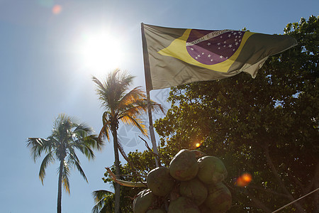 巴西国旗和椰子图片