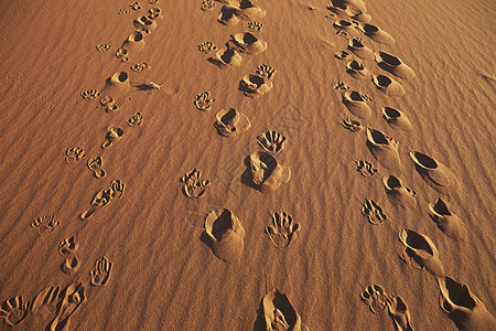 沙中的手脚印和鞋印图片