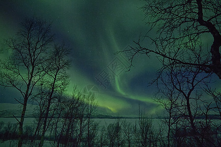 瑞典赫马万市的北极光图片