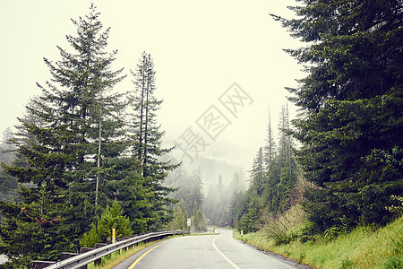 长满红杉的美国加利福尼亚州公路图片
