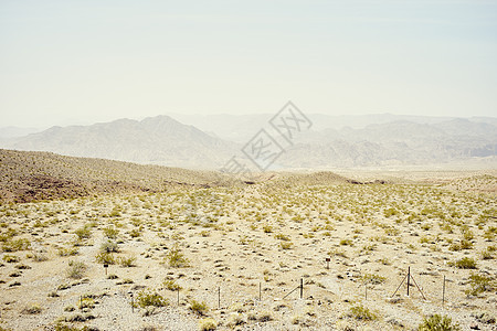 美国亚利桑那州的柳树海滩图片