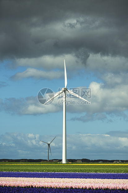现代风力涡轮机和开花灯田图片