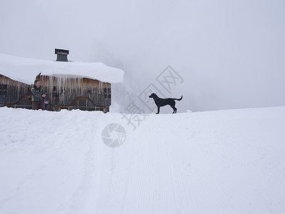 被大雪覆盖的风景图片