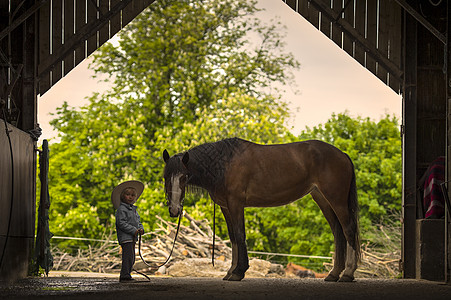 马场里的男孩与马图片