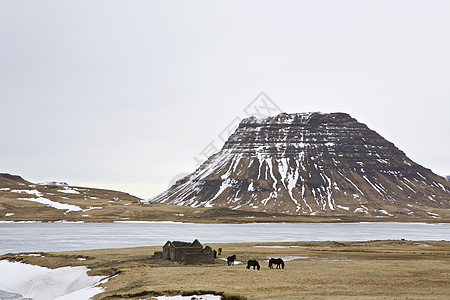 冰岛景观图片