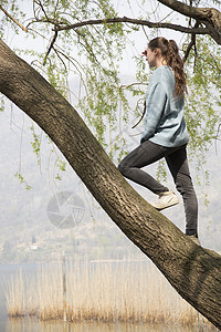站在树上看风景的年轻女子图片