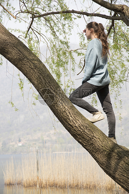 站在树上看风景的年轻女子图片