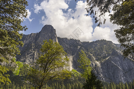 美国加利福尼亚州约塞米特公园山林景象图片