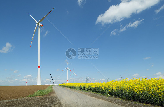 风涡轮机和油菜花田场景图片