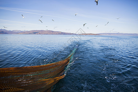 拖网渔船后海鸥苏格兰斯凯岛图片