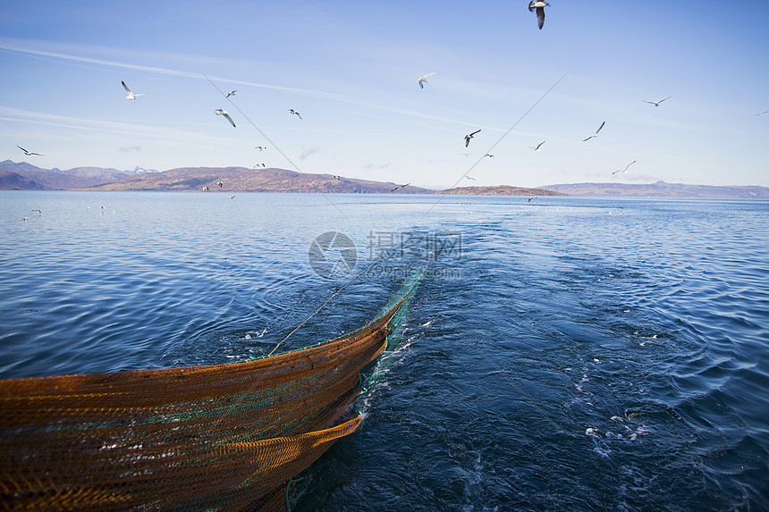 拖网渔船后海鸥苏格兰斯凯岛图片
