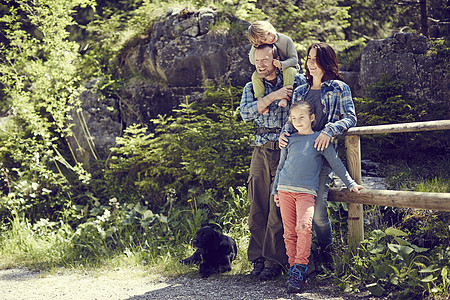 家庭肖像森林中的家庭肖像围着栏站立图片