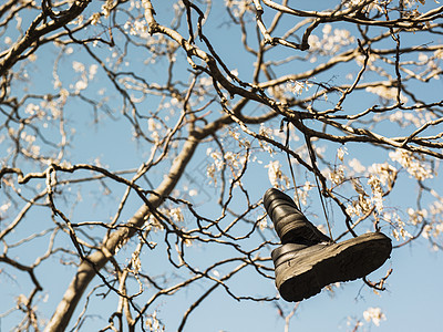 挂在树上的靴子图片