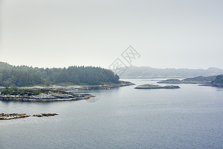 挪威罗加兰县豪格松岛冷杉树和山脉横穿岛屿水域图片