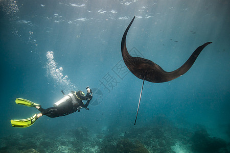 潜水员海底使用水下相机拍摄海底世界图片