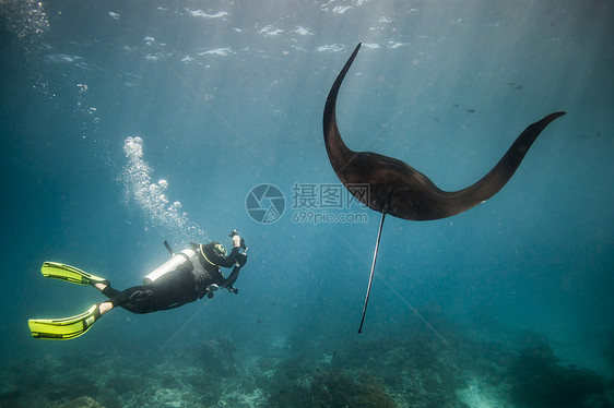 潜水员海底使用水下相机拍摄海底世界图片