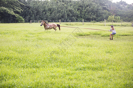 田野中奔跑的马图片