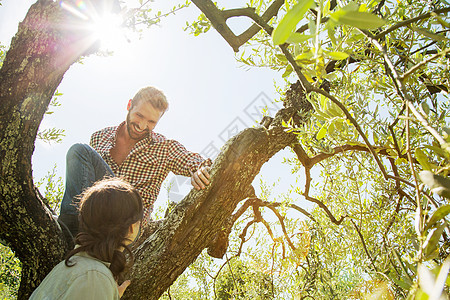 年轻夫妇攀爬树的低角度视图图片