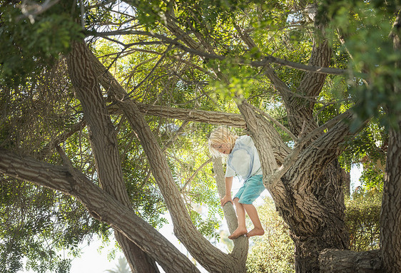 年轻男孩爬树图片