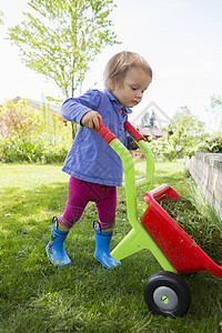 女孩在花园里用玩具手推车运输杂草图片