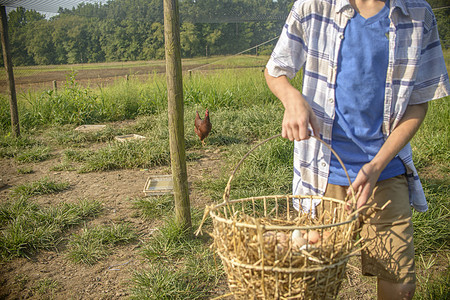 野外携带一篮子鸡蛋的男孩特写图片