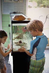 男童和女看着鱼缸图片