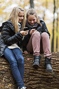 秋森林树干使用智能手机的女孩图片