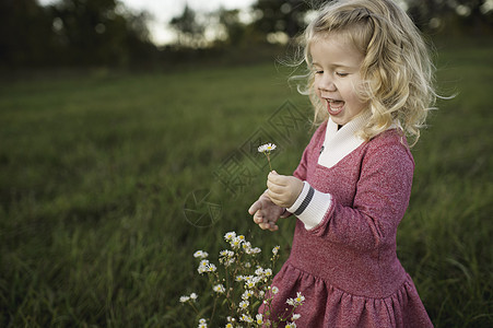 身着粉红裙子在野外采花的小女孩图片