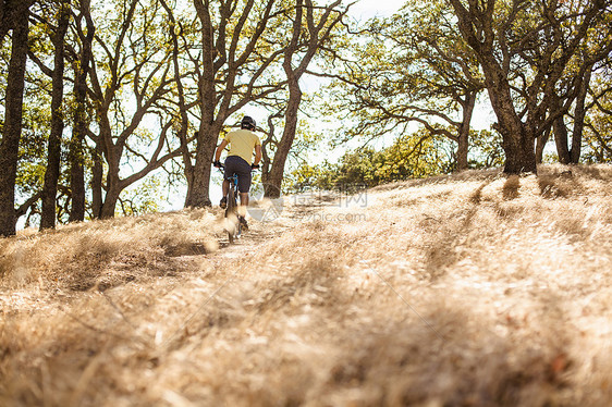 美国加利福尼亚州海湾地区山森林山上骑山地自行车的年轻人俯瞰图图片