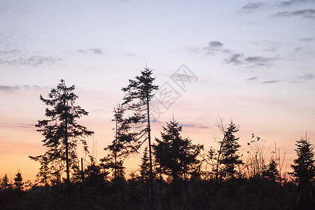 日落时森林俄罗斯乌拉尔图片