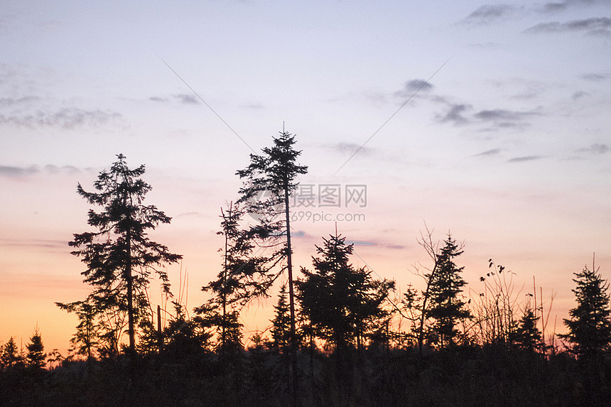 日落时森林俄罗斯乌拉尔图片