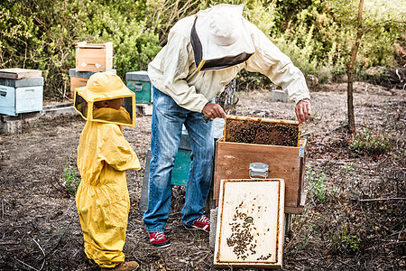 养蜂人拿着窝当他儿子看着的时候图片