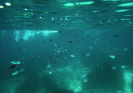 西班牙巴利阿里群岛梅诺卡岛成熟男子在海面浮潜的水下视图图片