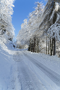 被雪覆盖的乡村道路图片