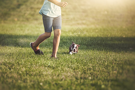 小女孩和波士顿特瑞尔小狗一起在草地上跑图片