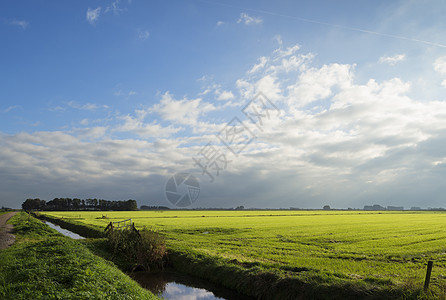 荷兰弗里斯的自然风景图片
