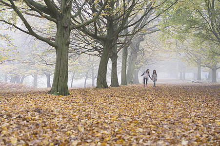 秋天在森林中漫步的年轻女孩图片素材