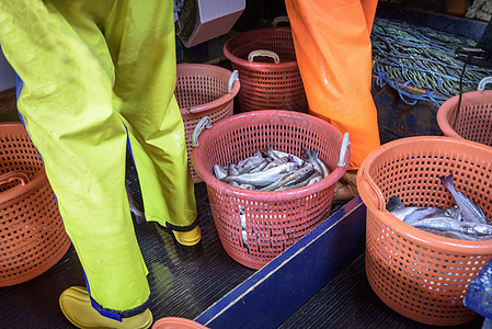 拖网渔船上分类的新鲜鱼篮子图片