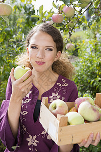 少女在果园采苹的肖像图片