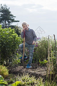男孩在有机花园中挖掘的肖像图片