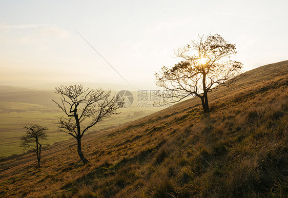 联合王国英德比郡峰区山坡上的树丛图片