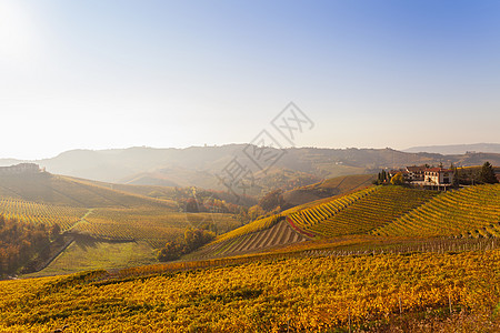 意大意大利皮埃蒙特的秋葡萄园和村庄图片