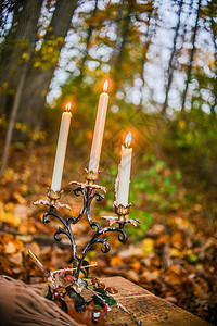 黄昏时秋天森林里的烛台图片