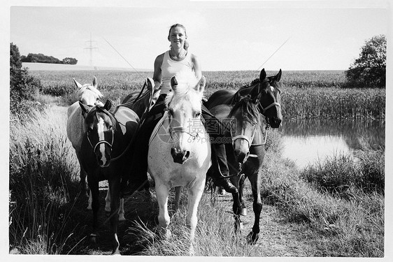 在草地上骑马的女人带着四匹马图片