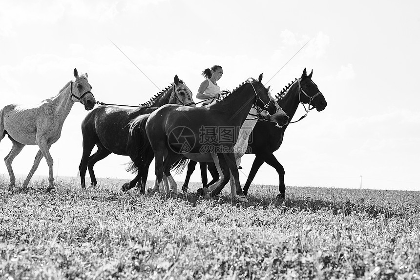 骑着马的女人带着四匹马图片