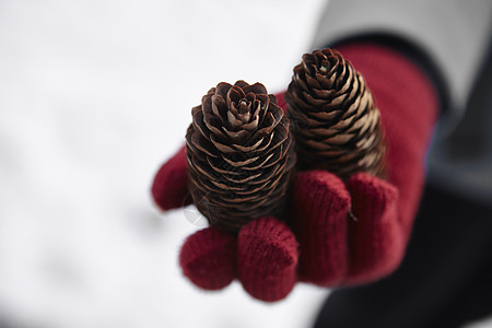 冬季手持两个松果的女红手套手的特写镜头图片