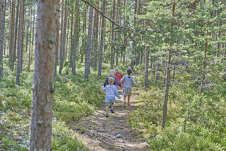 在森林中行走时四名身着旧衣服的男女儿童近视图片