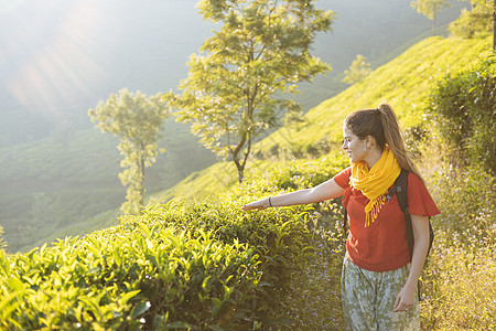 印度喀拉邦Munnar附近茶叶种植园的年轻妇女图片