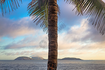 巴西里约热内卢伊帕马海岛棕榈树洋和岛屿图片